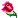 تشکر شده تشکر شده